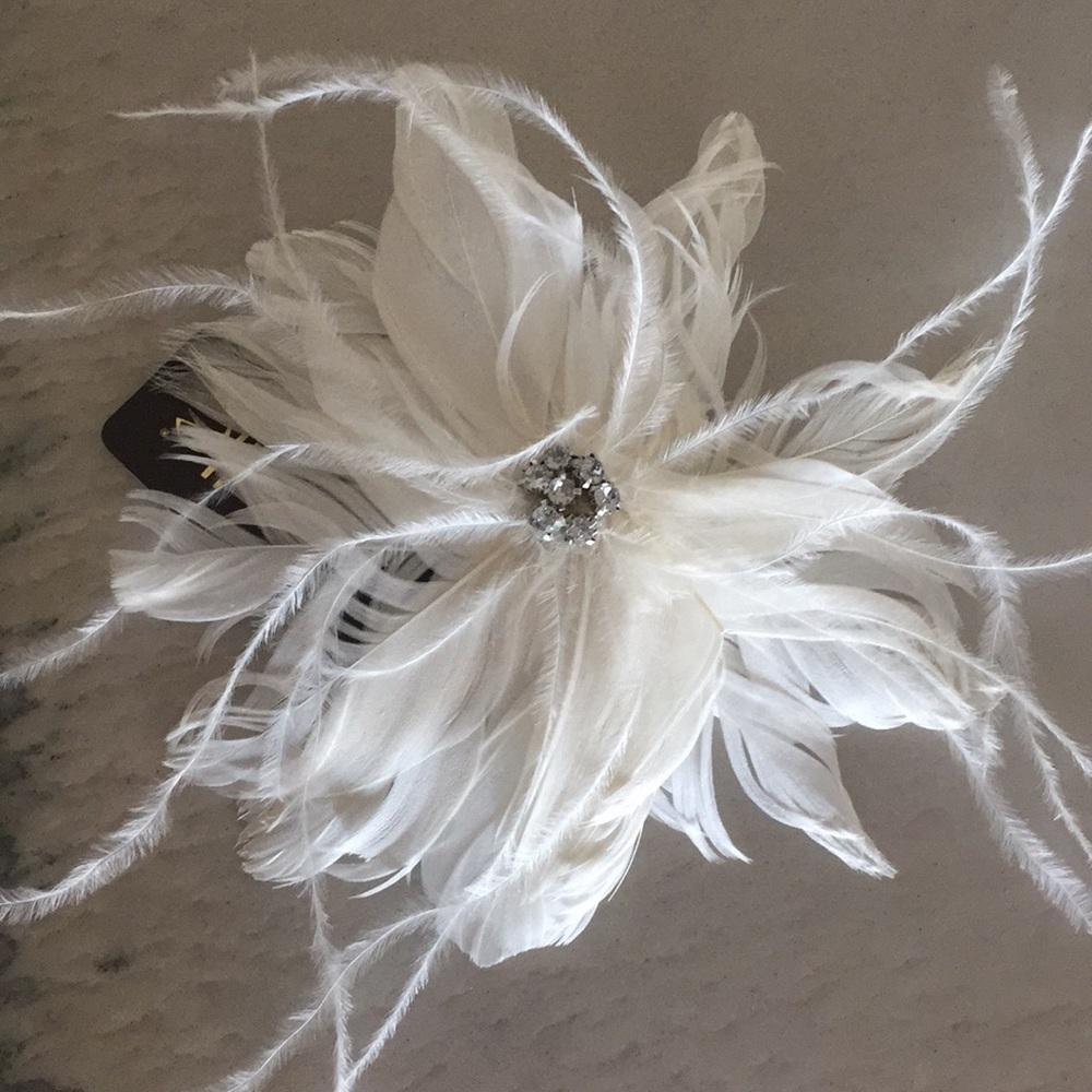 Stunning Feathered Clip